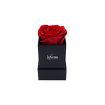Single Eternal Rose Box - Cubed