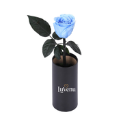 Classic Single Eternal Rose