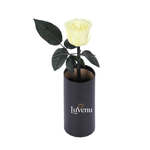 Classic Single Eternal Rose